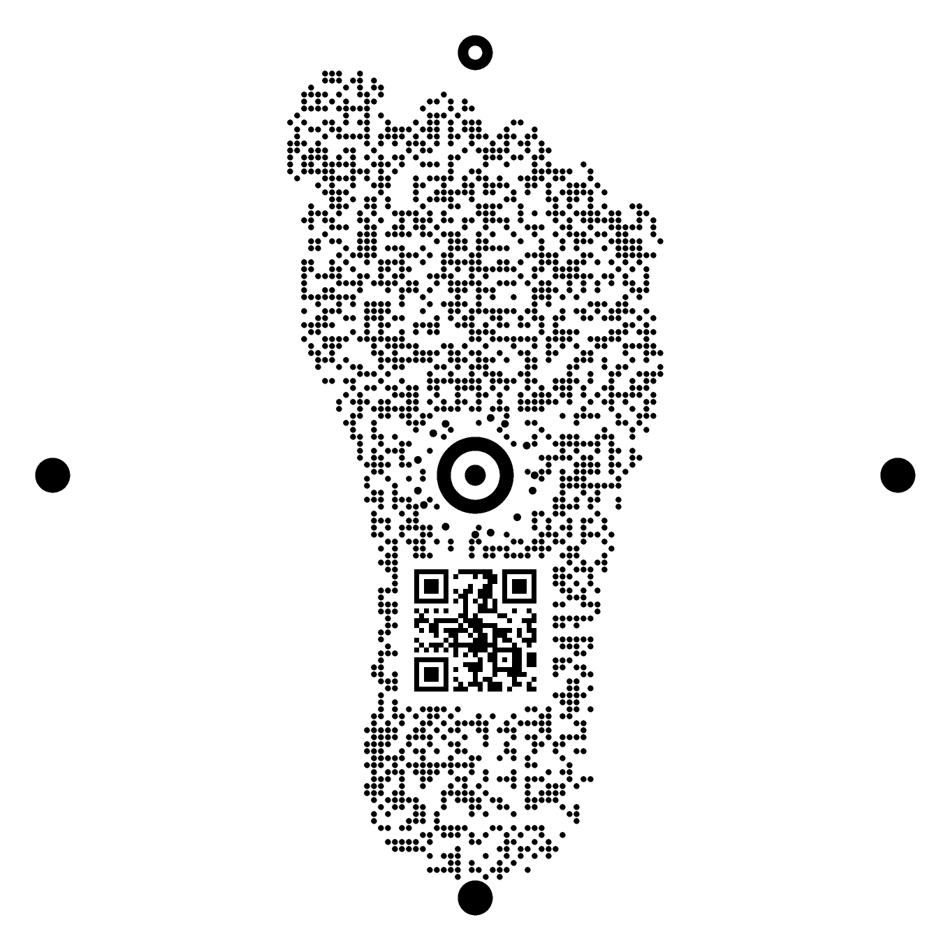 یک WIA Code به شکل پا: انگشتان و قوس کف پا با فاصله‌های سفیدی که در میدان نقاط خالی گذاشته شده‌اند رسم شده‌اند، با هستهٔ bullseye هم‌مرکز در مرکز.